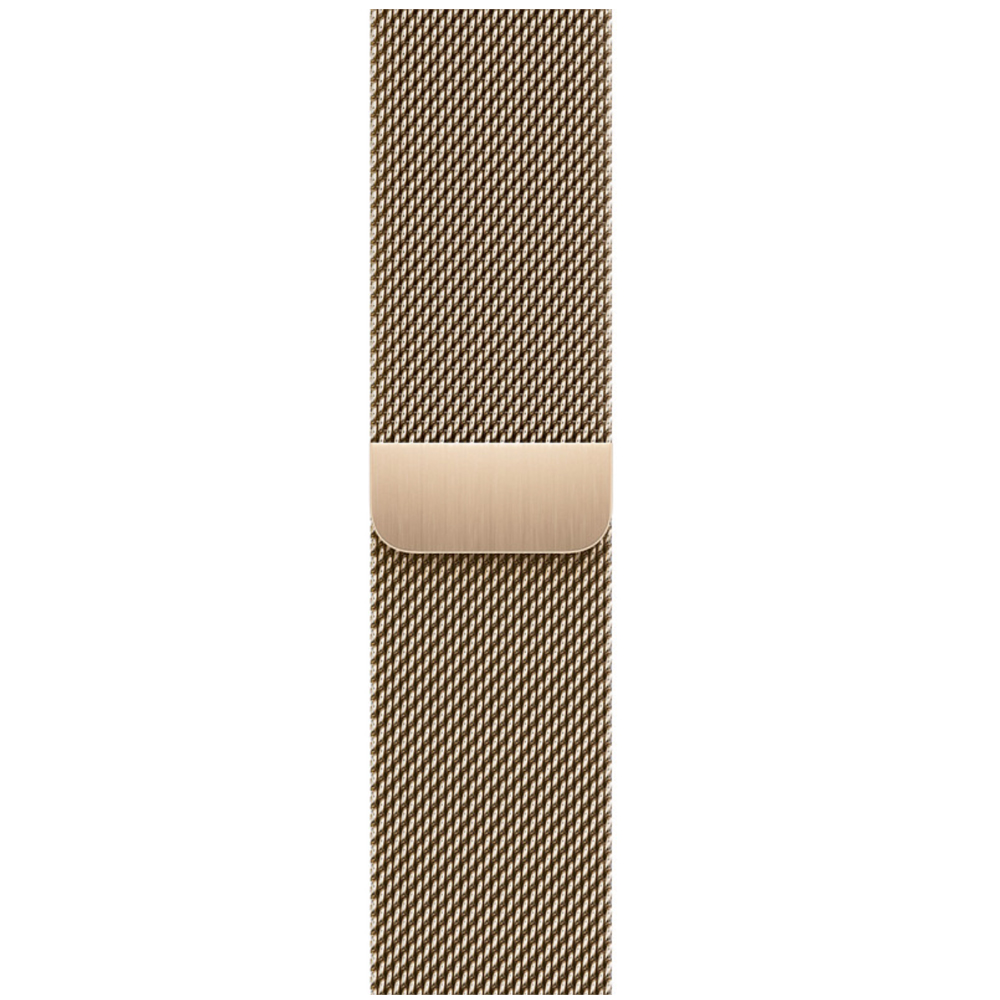 Apple Milanese Loop Gold