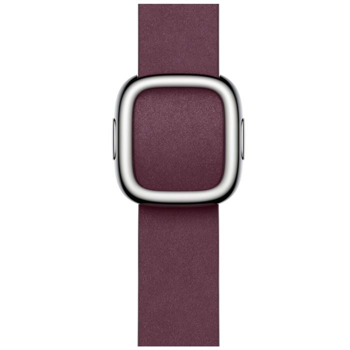 Apple Watch Modern Buckle