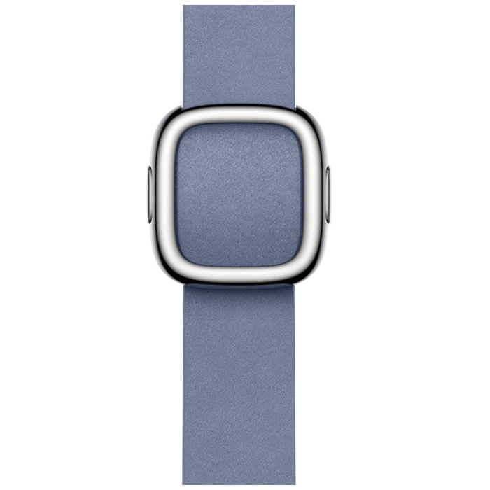 Apple Watch Modern Buckle